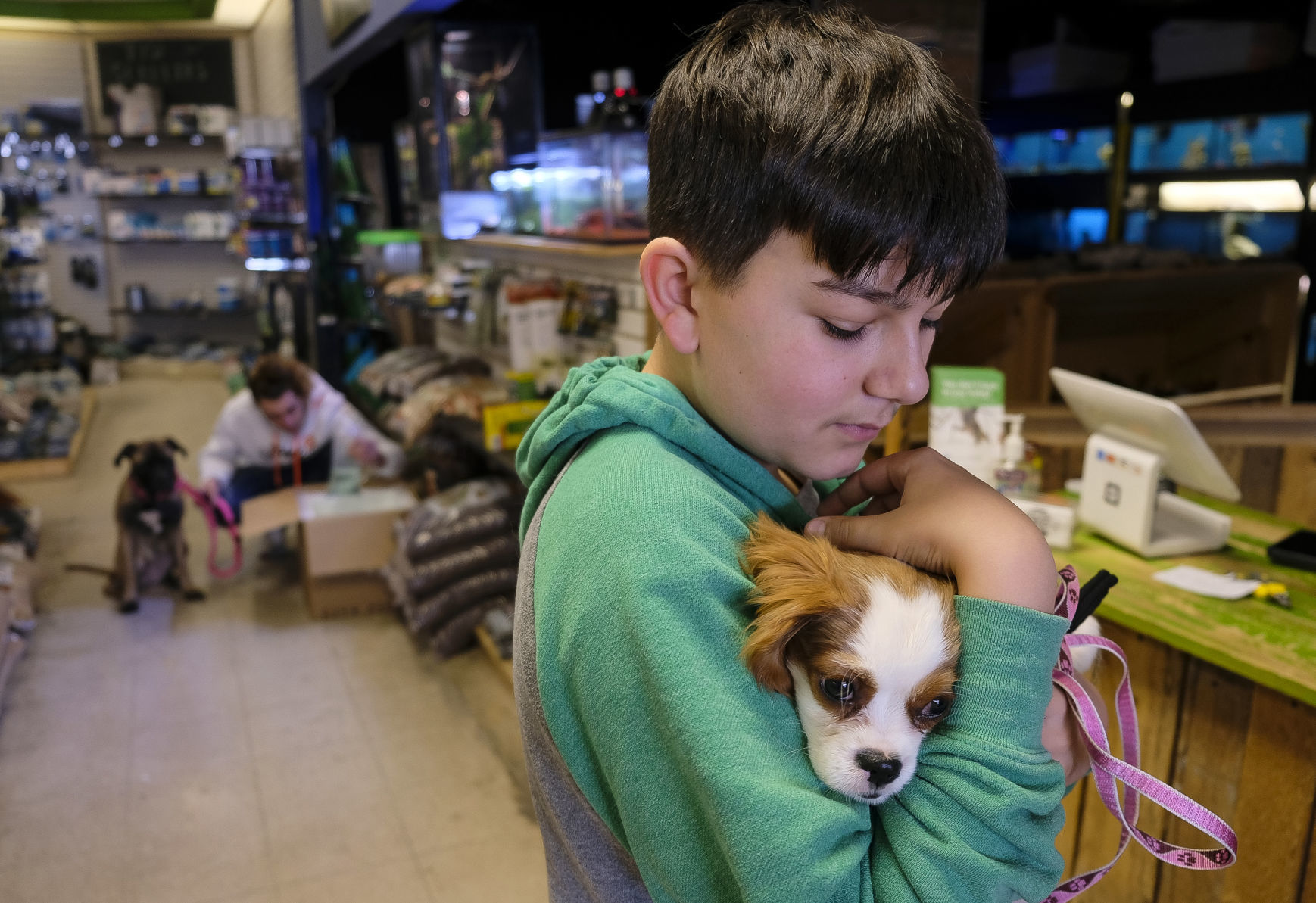 Holding a new pet